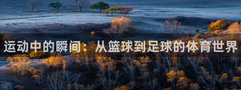 JJB竞技宝官网下载招商电话是多少啊：运动中的瞬间：从篮球到