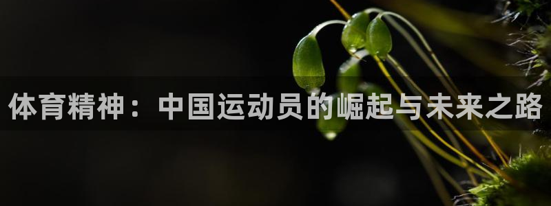JJB竞技宝官方正版app娱乐网站：体育精神：中国运