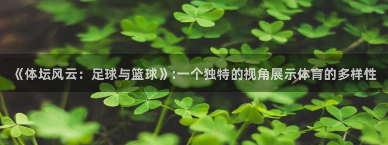 JJB竞技宝官网下载招商电话：《体坛风云：足球与篮球