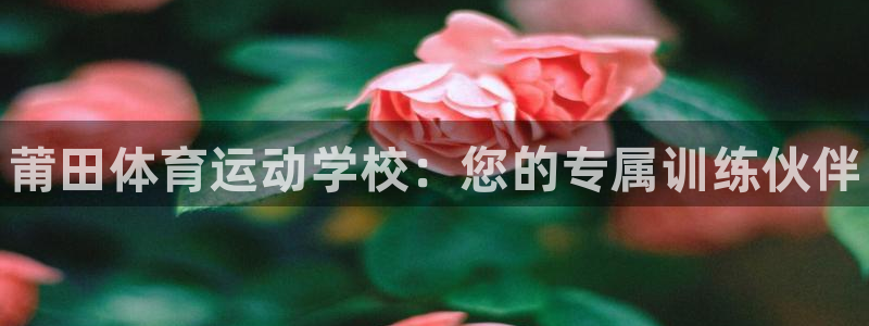 JJB竞技宝官方正版app代理：莆田体育运动学校：您