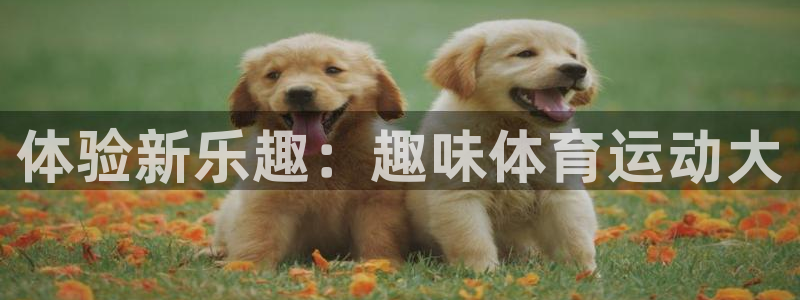 JJB竞技宝官方正版app娱乐：体验新乐趣：趣味体育
