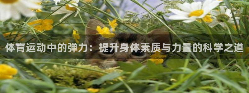 JJB竞技宝官网下载招商电话号码查询是多少：体育运动