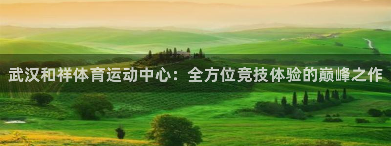JJB竞技宝官网下载平台注册：武汉和祥体育运动中心：