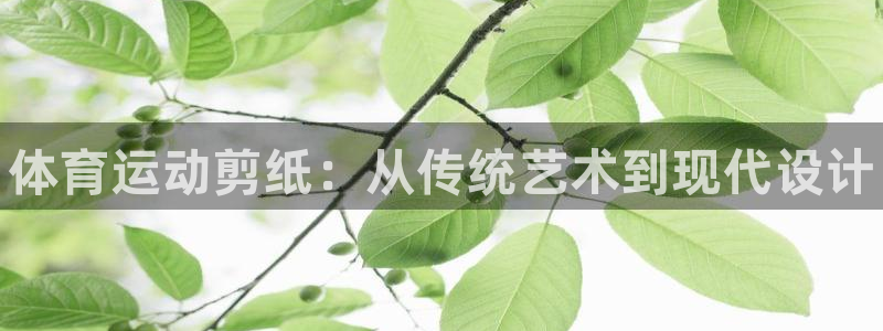 JJB竞技宝官网下载招商电话号码查询：体育运动剪纸：从传统艺