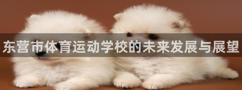 海南JJB竞技宝官网下载发展怎么样：东营市体育运动学