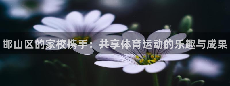JJB竞技宝官方正版app集团logo：邯山区的家校携手：共