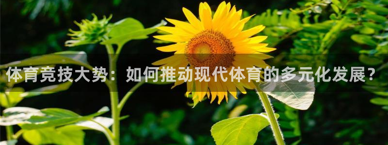 JJB竞技宝官网下载平台是正规平台吗