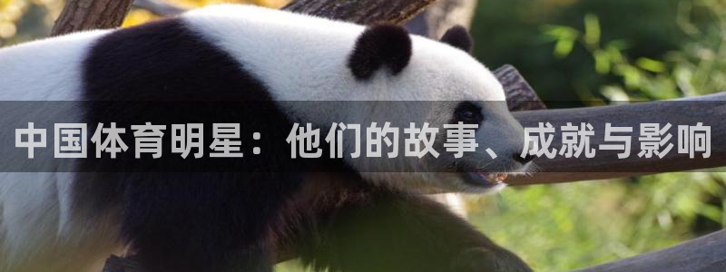 JJB竞技宝官网下载招商电话号码查询是多少：中国体育