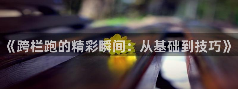 JJB竞技宝官方正版app娱乐是那个系列的台子：《跨栏跑的精