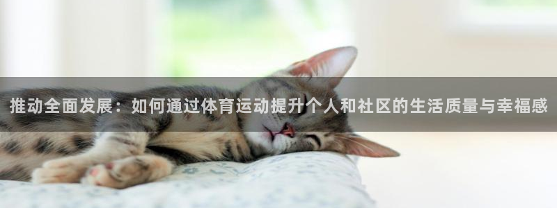 JJB竞技宝官方正版app娱乐代理怎么样：推动全面发展：如何