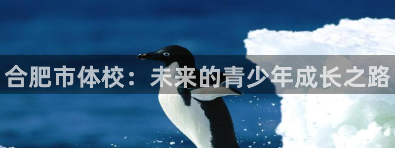 JJB竞技宝官网下载注册：合肥市体校：未来的青少年成