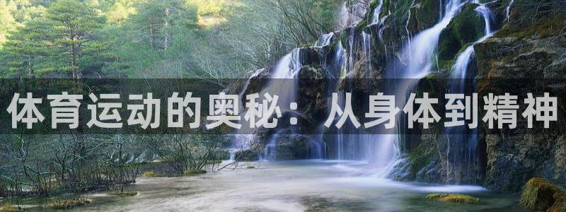 JJB竞技宝官方正版app娱乐首页官网下载：体育运动的奥秘：