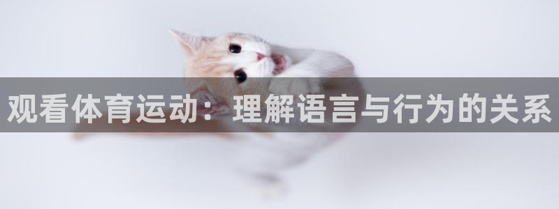 JJB竞技宝官方正版app集团官网网址