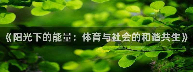 JJB竞技宝官网下载开户