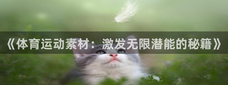 JJB竞技宝官网下载软件