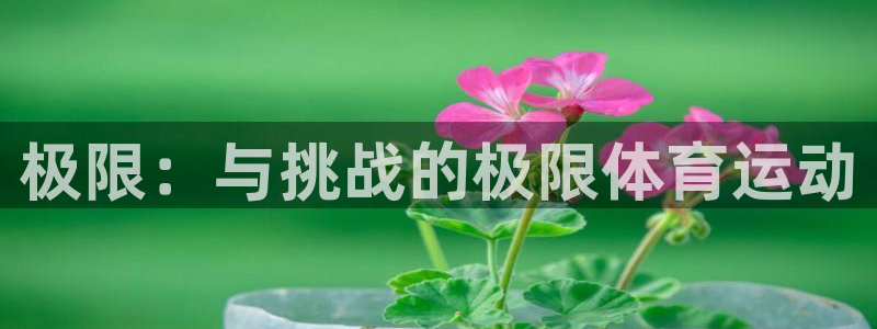 JJB竞技宝官方正版app娱乐是那个系列的台子：极限：与挑战