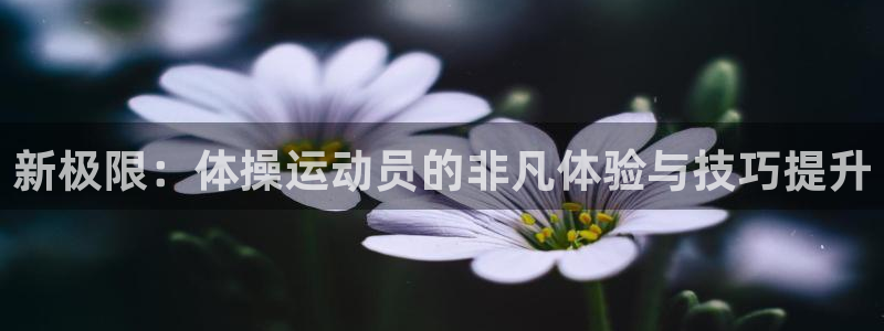 JJB竞技宝官网下载官方客服电话:新极限:体操运动员的非凡体