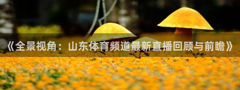 球友直播-足球篮球体育直播平台