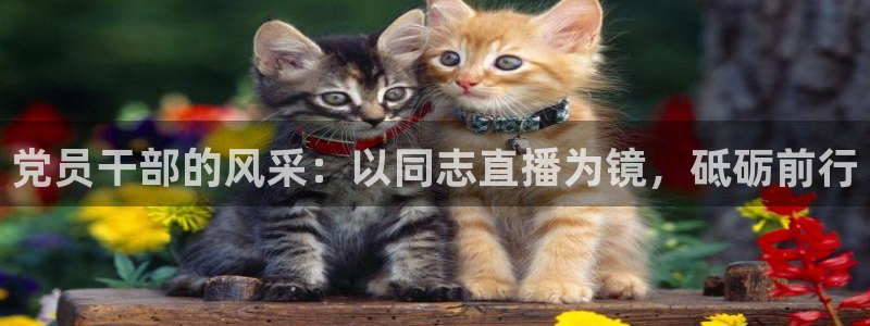 qy千亿球友体育
