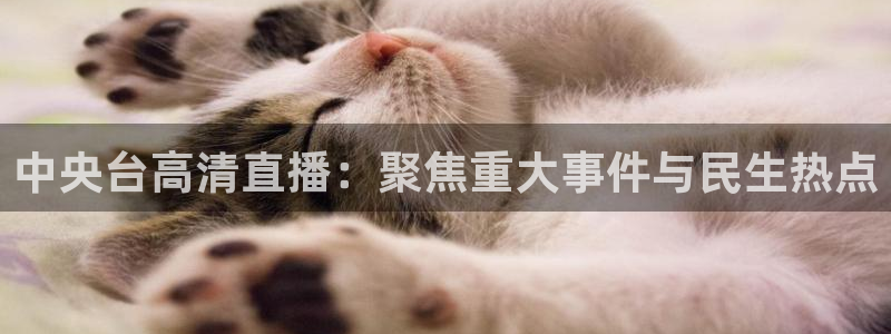 球友体育app免费看球：中央台高清直播：聚焦重大事件与民生热点