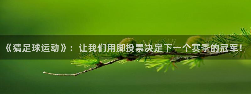 竞技宝电竞