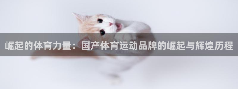 竞技宝被黑的钱能要回来吗：崛起的体育