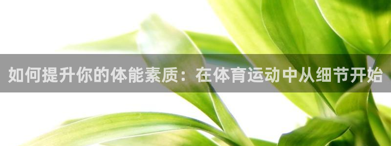 竞技宝手机端下载教程