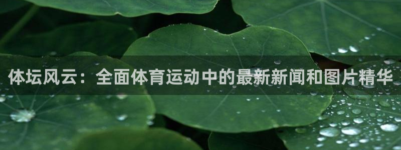 竞技宝app最新下载安装
