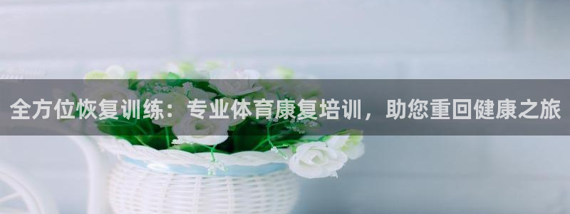 竞技宝客服打不开网页：全方位恢复训练