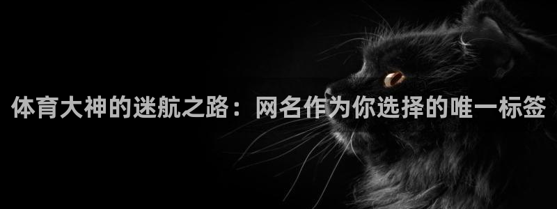 竞技宝app网站：体育大神的迷航之路