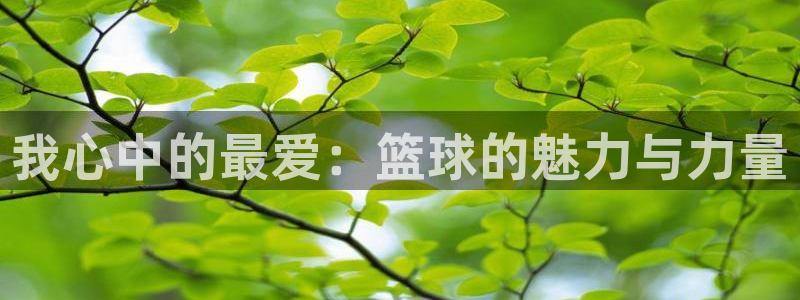 竞技宝app打不开：我心中的最爱：篮