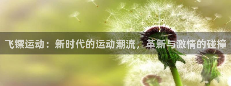  竞技宝怎么举报：飞镖运动：新时代的运动潮流，革新与激情的碰撞