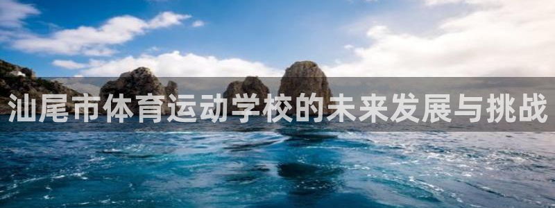 竞技宝不能用了：汕尾市体育运动学校的未来发展与挑战
