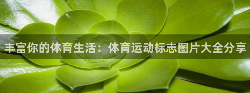  竞技宝可以提现吗搜hahabet：丰富你的体育生活：体育运动