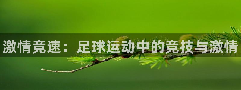  竞技宝官网app下载：激情竞速：足球运动中的竞技与激情