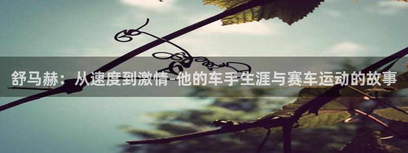  竞技宝客服连不上怎么回事儿：舒马赫：从速度到激情-他的车手生