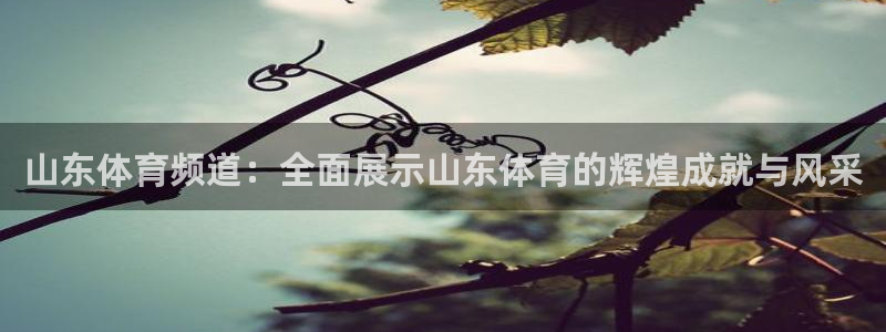 球友体育直播在线观看：山东体育频道：全面展示山东体育的辉煌成就与风采