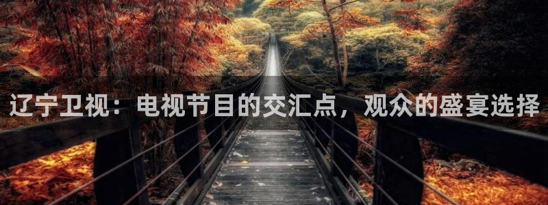 qy球友会体育官网：辽宁卫视：电视节目的交汇点，观众的盛宴选择