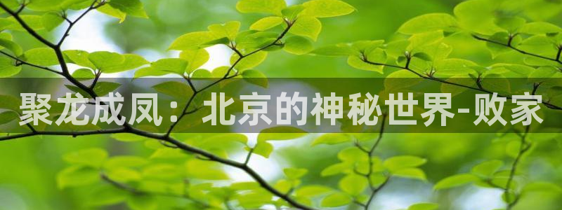 球友体育在线直播：聚龙成凤：北京的神秘世界-败家
