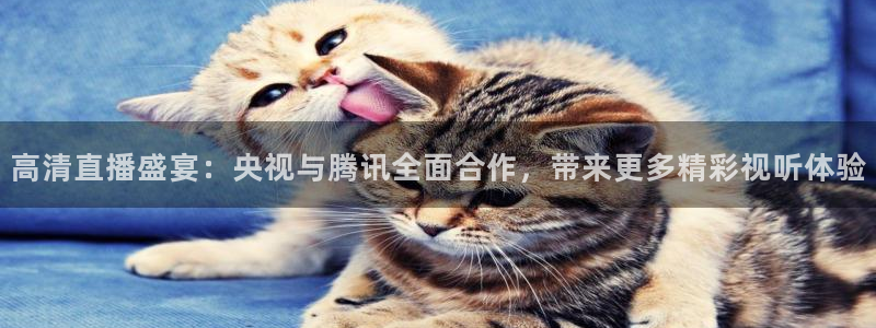 nba直播球友直播：高清直播盛宴：央视与腾讯全面合作，带来更多精彩视听体验